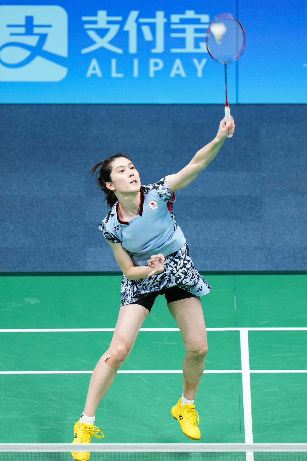 进行判断与 进行判断与